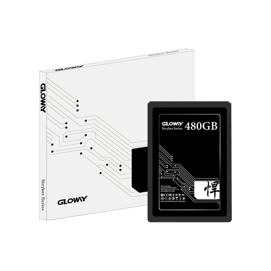 Gloway Stryker 480 GB